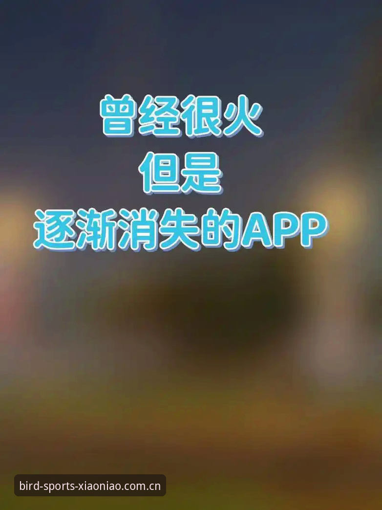 揭秘小鸟体育官网对比背后的真相：Web端、App端与移动网页的实测差异